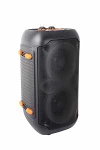 Esperanza EP156 BT FM LED RGB KARAOKE garsiakalbis juodas 20W