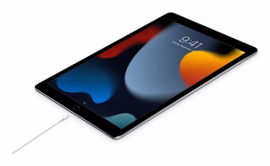 APPLE LAIDAS A2441 MW2R3ZM/A USB-C Į LIGHTNING 2M ORIGINALI PLOMBA