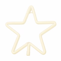 Neon LED kalėdinė žvaigždė šiltai balta FLNE22 Forever Light