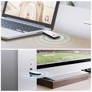 TP-Link TL-WN821N tinklo kortelė WLAN 300 Mbit/s