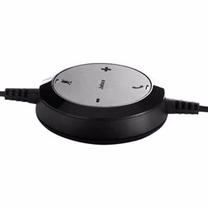 JABRA Evolve 20 USB C/A MS Stereo ausinės