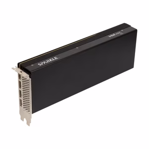 SPARKLE Intel Arc PRO B60 PASSIVE 24GB vaizdo plokštė