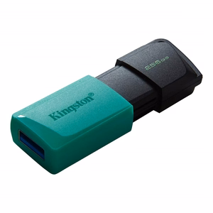 Kingston atmintukas DataTraveler Exodia M DTXM 256GB žalias