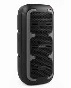 SQUEAK BEATONE BT 5.3 45 W KARAOKE GARSINIS SQ1009