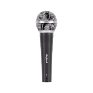 DM-80 microphone