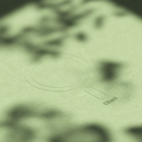 "Etteri" silikoninis magnetinis dėklas "iPhone 16 Plus" 6,7" šviesiai žalias