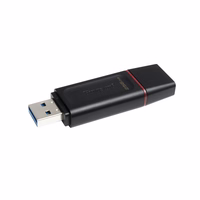 Kingston USB atmintinė 256GB USB 3.2 DT Exodia