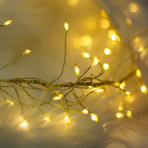 String Light GOLDEN TWIG CLF-03z 480LED cold baltas 3m + 5m Forever Light