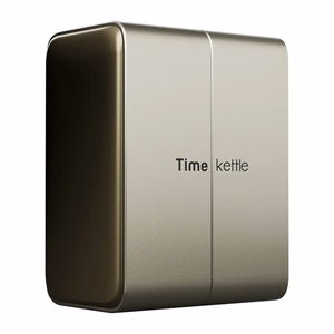 TimeKettle W4 Plus TWS vertimo ausinės, auksinės