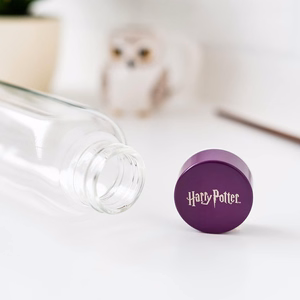 Harry Potter Hogwarts stiklinė gertuvė, 500 ml