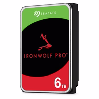 Seagate IronWolf Pro ST6000NT001 vidinis kietasis diskas 3.5" 6 TB