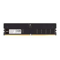 Silicon Power DDR5 5600 CL46 16 GB SP016GBLVU560F02