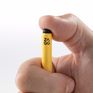 ZAGG Pro Stylus2 skirtas Apple iPad - pilkas