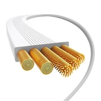 "Baseus" USB-C į USB-C 100 W įkrovimo kabelis (baltas) "Bayern Edition