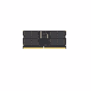 Lexar Laptop Memory LD5DS016G-B4800GSST 16 GB DDR5 4800 MHz PC/server Registered No ECC Yes