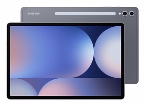 Samsung S10+ 5G 256 GB 31.5 cm (12.4") 12 GB Android 14 серый