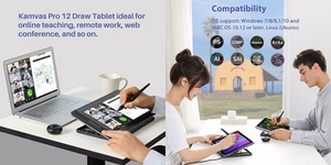 HUION Kamvas Pro 12 grafinė planšetė