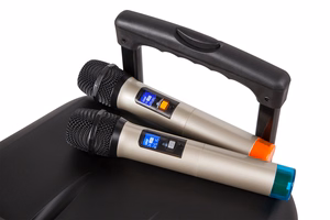 Aktyvi garso kolonėlė su 2 belaidžiais UHF mikrofonais, SD, Bluetooth, FM, USB, 60 W