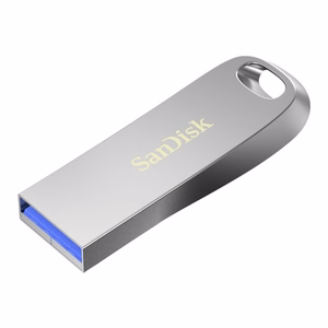 ATMINTIES LAIKMENA FLASH USB3.1 32GB/SDCZ74-032G-G46 SANDISK