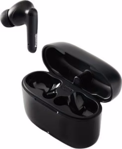 Wireless earphones TWS PANASONIC RZ-B110WDE-K black