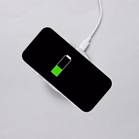 ROAR dėklas SLIM DEFENDER IPHONE 17 skaidrus