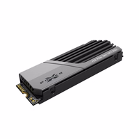 SILICON POWER PCIe Gen 4x4 XS70 Vidinis kietosios būsenos diskas SSD 1TB M.2 2280 NVMe 1.4 (SP01KGBP44XS7005) Juoda, Pilka