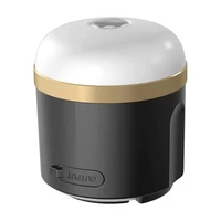 EcoFlow camping light (N).