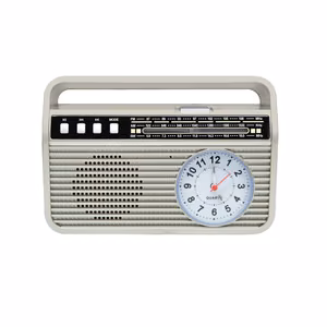 Setty Bluetooth speaker with radioMD-500BT