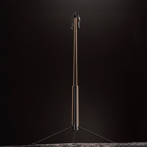 Asmenukių lazda Orico SPM170 trikojis 1/4 colio telefono kamerai Bluetooth 5.2 - juoda