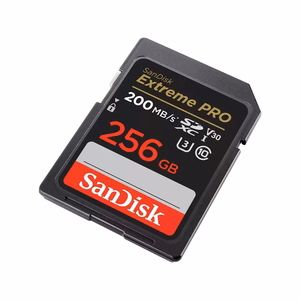 SDXC atminties kortelė SANDISK 256GB UHS-I SDSDXXD-256G-GN4IN