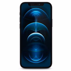 Guess Tempered Glass GUSPP12LSLTR iPhone 12 Pro Max 6.7" Vintage Magic Logo