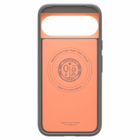 Spigen Nano Pop Mag MagSafe dėklas Google Pixel 10 Pro XL telefonui – pilkas