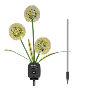 Rebel decorative solar garden lights, ornamental allium