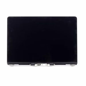 LCD ekrano modulis Apple A2179 2020 (sidabrinė)