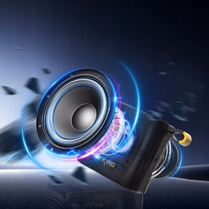 Bluetooth belaidis garsiakalbis W-KING D2 mėlynas