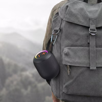 Blavec nešiojamas Bluetooth garsiakalbis TWS WS-05 Go Boom 5W (WS05-B) juodas