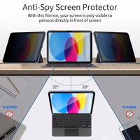 Tech-Protect Glass Spy+ privatumo stiklas iPad 10.9” 2022 / iPad 11” 2025