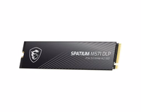 MSI SPATIUM M571 DLP PCIe 5.0 NVMe M.2 4T SSD diskas 4 TB PCI Express 5.0 3D NAND