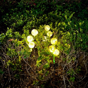 Rebel decorative solar garden lights, ornamental allium
