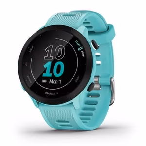 Garmin Forerunner 55 – GPS išmanusis laikrodis, MIP, 42 mm, pilkas