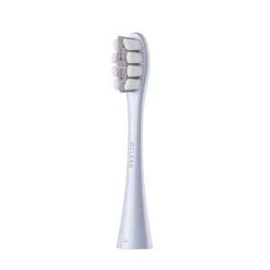 Oclean Professional Clean šepetėlių galvutės 2 vnt. P1C9, sidabrinės