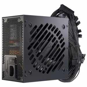 SEASONIC ATX PC 100 - 240 V 850 W SRP-CBC851-A5A51JF (Power Supply)
