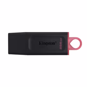 Kingston Technology DataTraveler Exodia USB atmintukas 256 GB USB A tipo 3.2 Gen 1 (3.1 Gen 1) Juoda, Rožinė