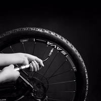 WILDMAN Bike pump mini GK1