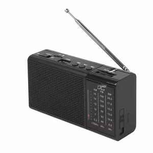 Nešiojamas radijas LTC REGA, USB, TF, AUX, mini LED žibintuvėlis, juodas