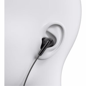 Ausinės Xiaomi USB-C juodos BHR8930GL