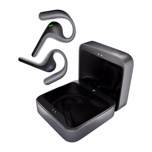 TIMEKETTLE W4 Pro vertimo ausinės