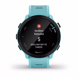 Garmin Forerunner 55 – GPS išmanusis laikrodis, MIP, 42 mm, pilkas