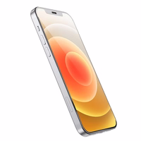 HOCO grūdintas stiklas HD Anti-static (rinkinys 25in1) - MULTIPACK iPhone 12 Pro Max (G10)