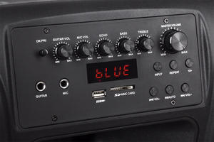 Aktyvi garso kolonėlė su 2 belaidžiais mikrofonais, SD, Bluetooth, USB, 12 colių, 40 W